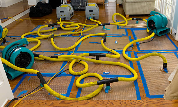 Professional Sewage Cleanup technician working in Grapeview, WA